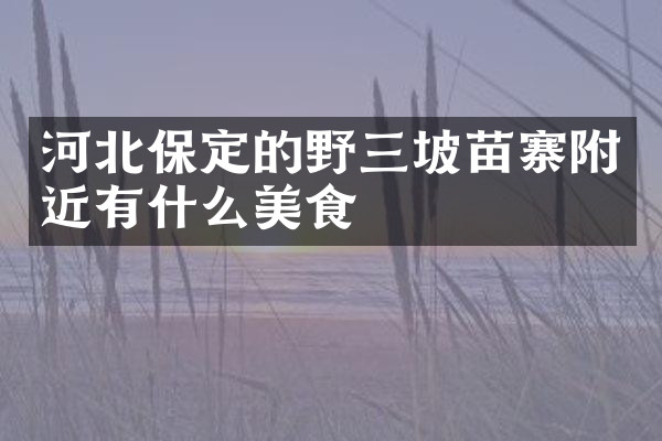 河北保定的野三坡苗寨附近有什么美食