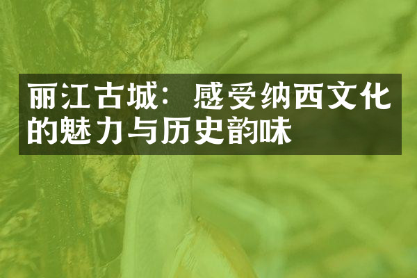 丽江古城：感受纳西文化的魅力与历史韵味