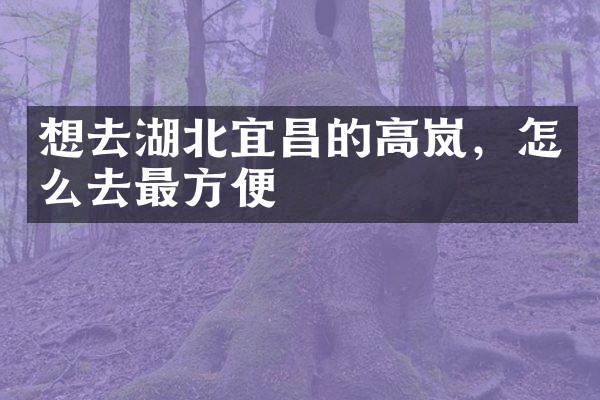 想去湖北宜昌的高岚，怎么去最方便