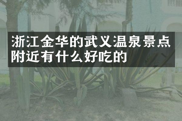 浙江金华的武义温泉景点附近有什么好吃的