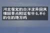 河北保定的白洋淀异国风情园景点附近有什么不错的住的地方吗