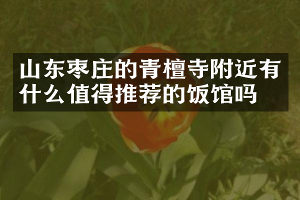 山东枣庄的青檀寺附近有什么值得推荐的饭馆吗