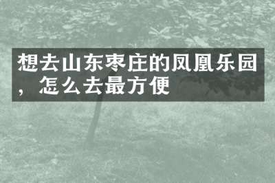 想去山东枣庄的凤凰乐园，怎么去最方便