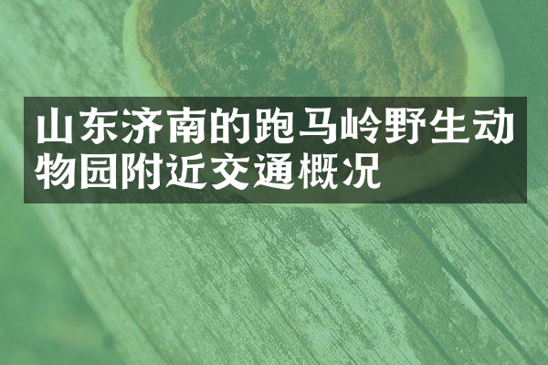 山东济南的跑马岭野生动物园附近交通概况