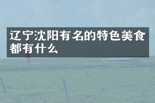 辽宁沈阳有名的特色美食都有什么