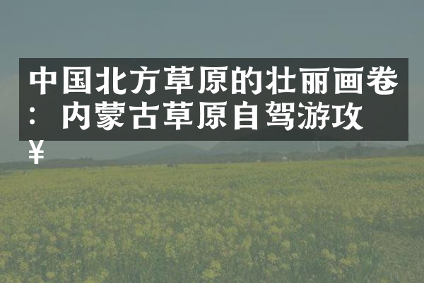 中国北方草原的壮丽画卷：内蒙古草原自驾游攻略