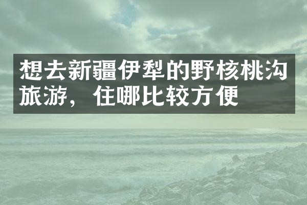 想去新疆伊犁的野核桃沟旅游，住哪比较方便
