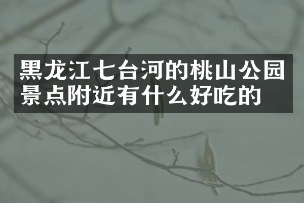 黑龙江七台河的桃山公园景点附近有什么好吃的