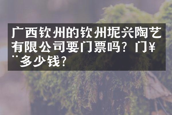 广西钦州的钦州坭兴陶艺有限公司要门票吗？门票多少钱？