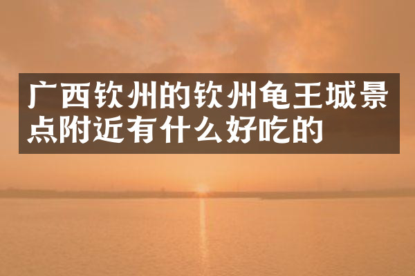 广西钦州的钦州龟王城景点附近有什么好吃的
