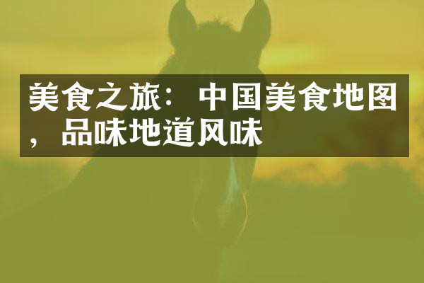 美食之旅：中国美食地图，品味地道风味