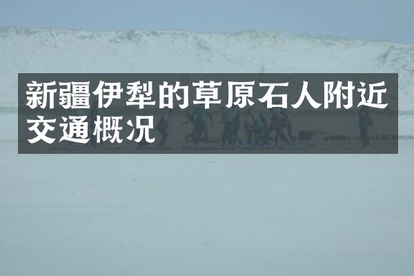 新疆伊犁的草原石人附近交通概况