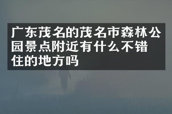 广东茂名的茂名市森林公园景点附近有什么不错的住的地方吗