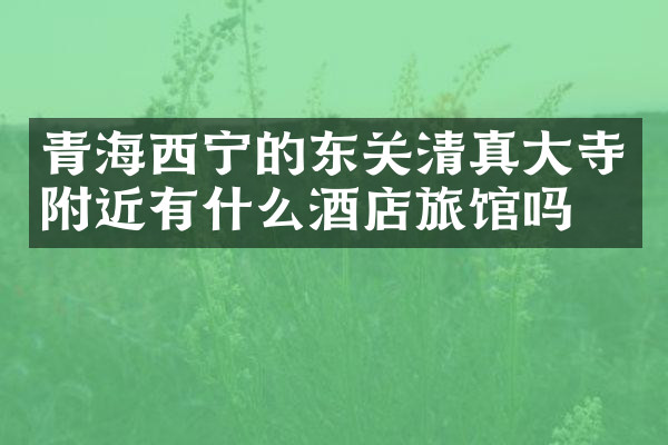 青海西宁的东关清真大寺附近有什么酒店旅馆吗