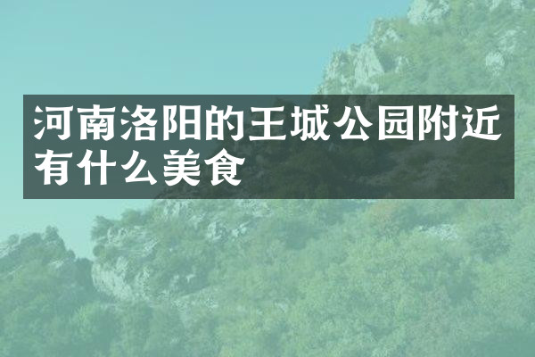 河南洛阳的王城公园附近有什么美食