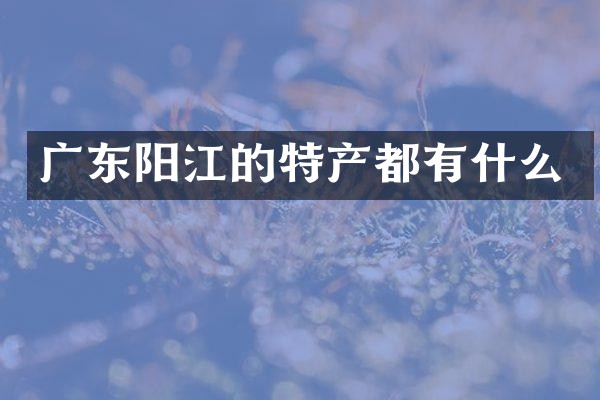 广东阳江的特产都有什么
