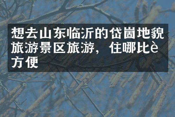 想去山东临沂的岱崮地貌旅游景区旅游，住哪比较方便