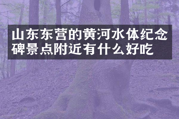 山东东营的黄河水体纪念碑景点附近有什么好吃的
