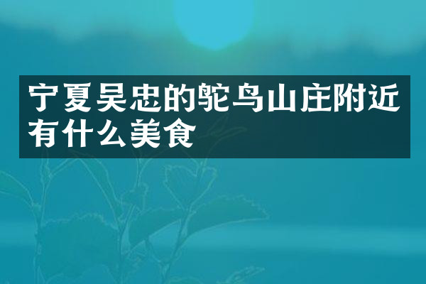 宁夏吴忠的鸵鸟山庄附近有什么美食