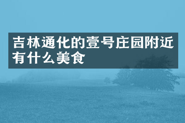 吉林通化的壹号庄园附近有什么美食
