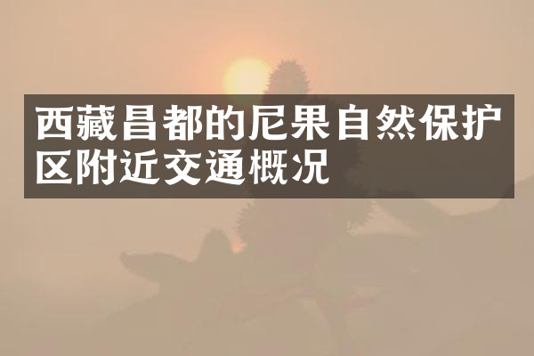 西藏昌都的尼果自然保护区附近交通概况