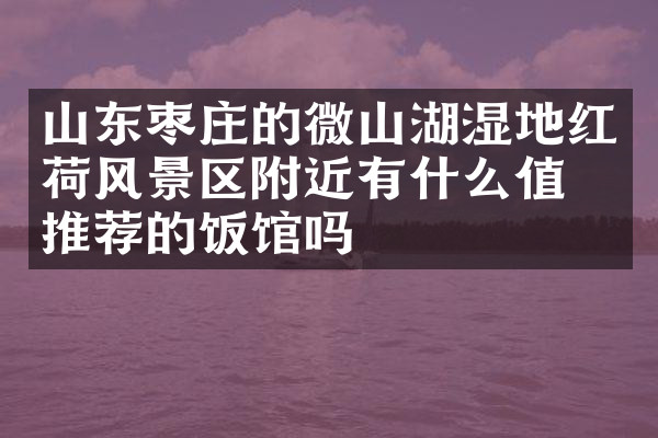 山东枣庄的微山湖湿地红荷风景区附近有什么值得推荐的饭馆吗