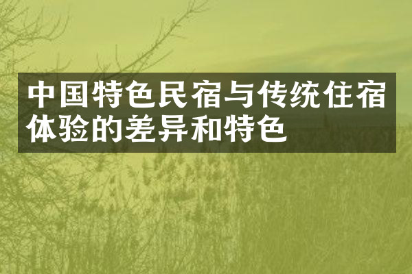 中国特色民宿与传统住宿体验的差异和特色