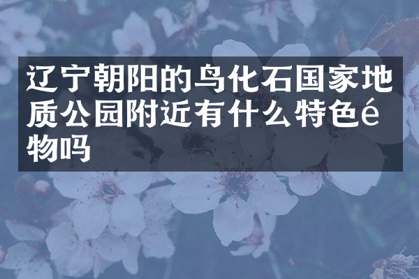 辽宁朝阳的鸟化石国家地质公园附近有什么特色食物吗