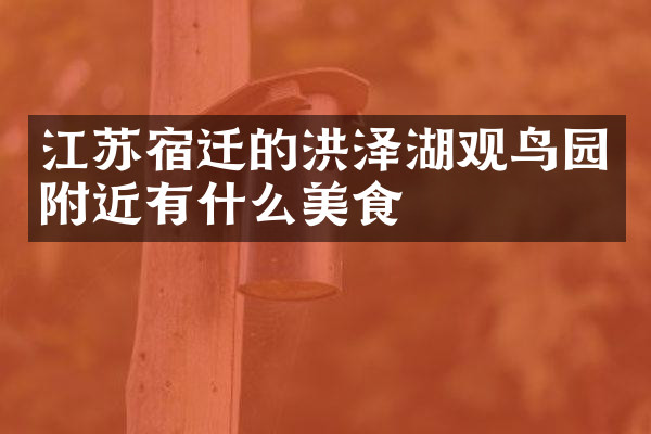 江苏宿迁的洪泽湖观鸟园附近有什么美食