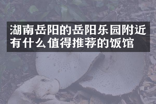 湖南岳阳的岳阳乐园附近有什么值得推荐的饭馆吗