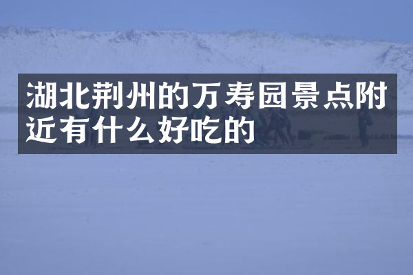 湖北荆州的万寿园景点附近有什么好吃的