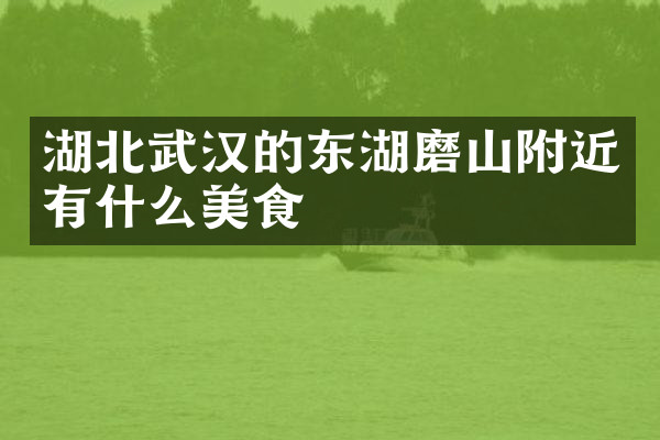 湖北武汉的东湖磨山附近有什么美食