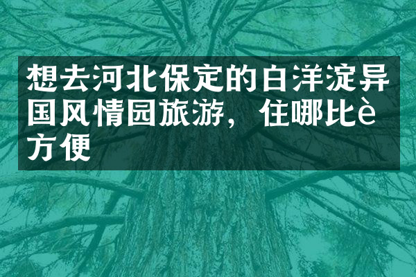 想去河北保定的白洋淀异国风情园旅游，住哪比较方便