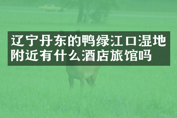 辽宁丹东的鸭绿江口湿地附近有什么酒店旅馆吗