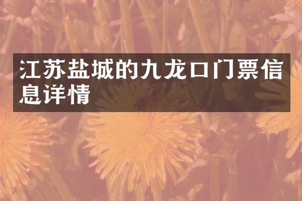 江苏盐城的九龙口门票信息详情