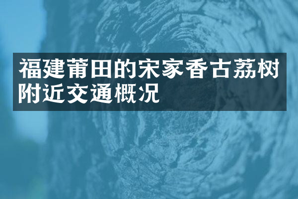 福建莆田的宋家香古荔树附近交通概况