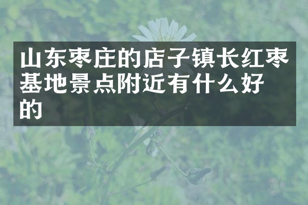 山东枣庄的店子镇长红枣基地景点附近有什么好吃的