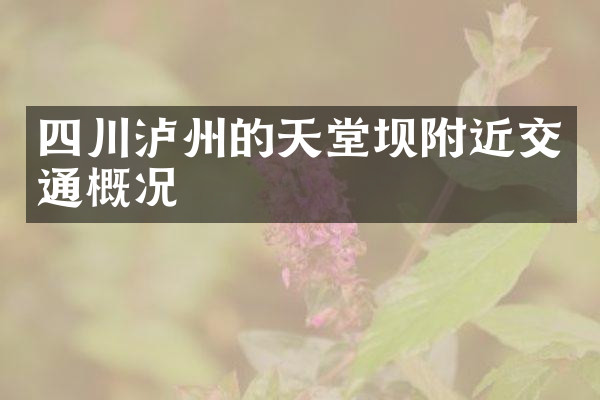 四川泸州的天堂坝附近交通概况