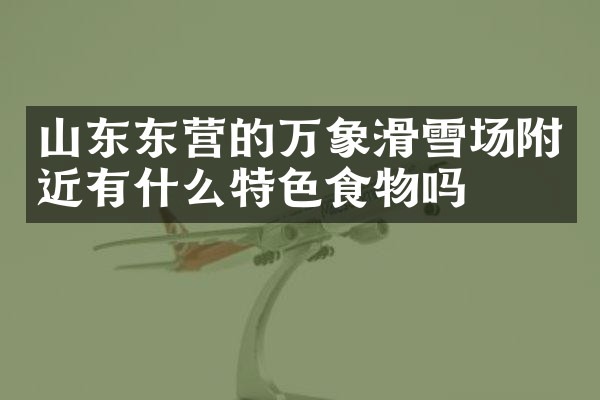 山东东营的万象滑雪场附近有什么特色食物吗