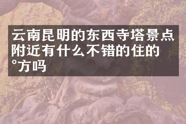 云南昆明的东西寺塔景点附近有什么不错的住的地方吗