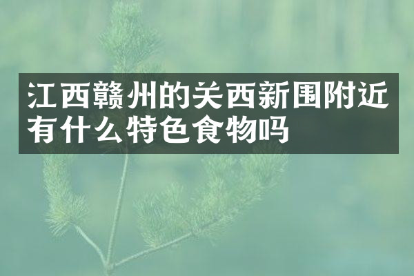 江西赣州的关西新围附近有什么特色食物吗