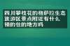四川攀枝花的格萨拉生态旅游区景点附近有什么不错的住的地方吗