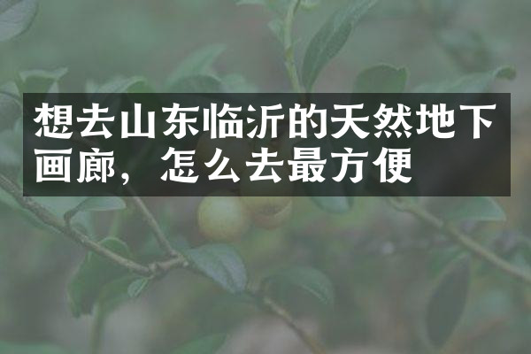 想去山东临沂的天然地下画廊，怎么去最方便