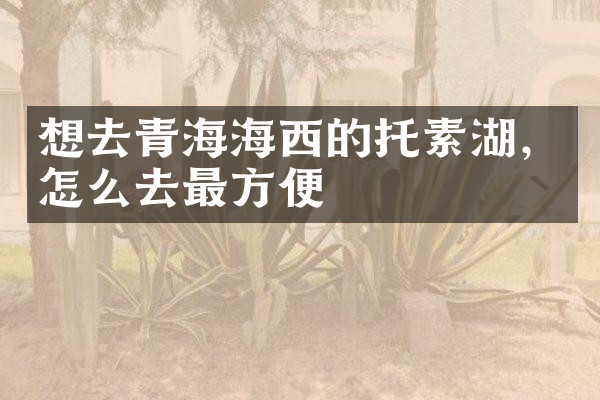 想去青海海西的托素湖，怎么去最方便