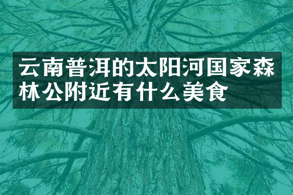 云南普洱的太阳河国家森林公附近有什么美食