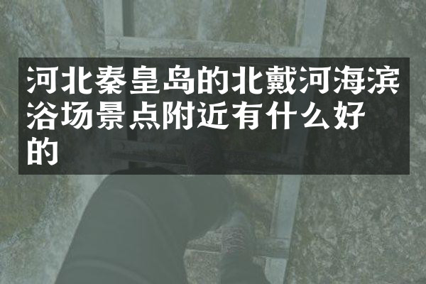 河北秦皇岛的北戴河海滨浴场景点附近有什么好吃的