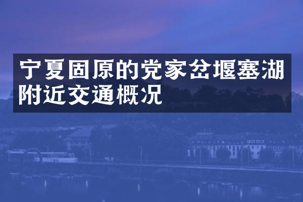 宁夏固原的党家岔堰塞湖附近交通概况