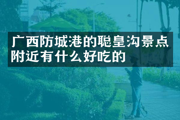 广西防城港的聪皇沟景点附近有什么好吃的