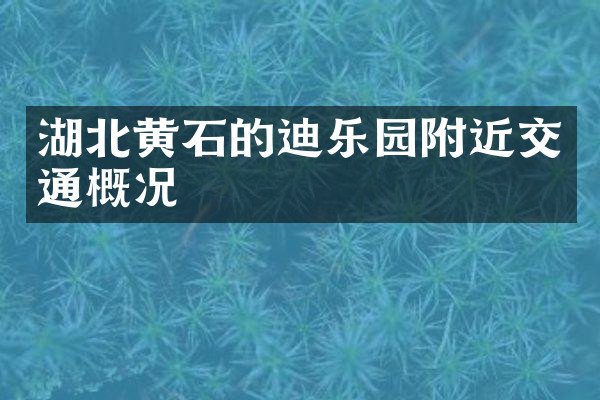 湖北黄石的迪乐园附近交通概况
