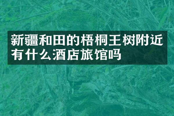 新疆和田的梧桐王树附近有什么酒店旅馆吗
